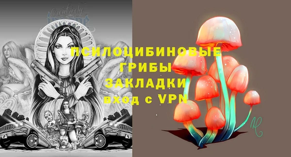 спиды Волосово