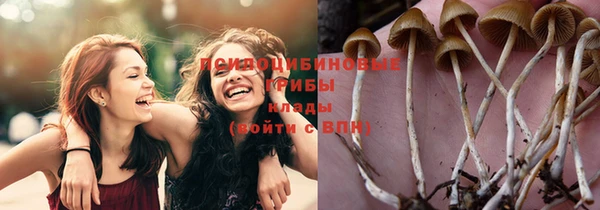 прущая мука Волоколамск